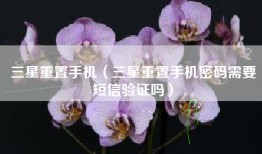 三星重置手机（三星重置手机密码需要短信验证吗）