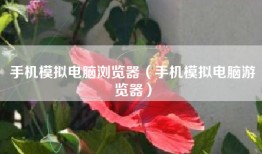 手机模拟电脑浏览器（手机模拟电脑游览器）