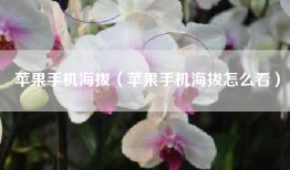 苹果手机海拔（苹果手机海拔怎么看）