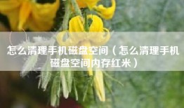 怎么清理手机磁盘空间（怎么清理手机磁盘空间内存红米）