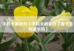 手机卡被补办（手机卡被补办了原卡会有提示吗）