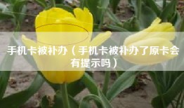 手机卡被补办（手机卡被补办了原卡会有提示吗）