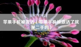 苹果手机被激活（苹果手机被激活了就是二手吗）