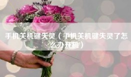 手机关机键失灵（手机关机键失灵了怎么办开机）