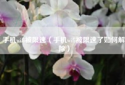 手机wifi被限速（手机wifi被限速了如何解除）