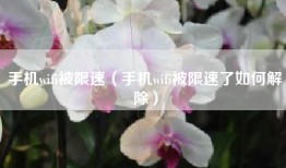手机wifi被限速（手机wifi被限速了如何解除）