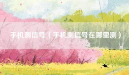 手机测信号（手机测信号在哪里测）