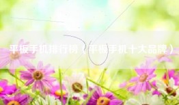 平板手机排行榜（平板手机十大品牌）