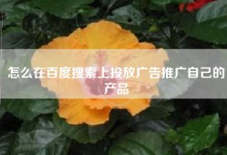 怎么在百度搜索上投放广告推广自己的产品