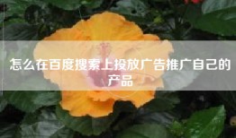怎么在百度搜索上投放广告推广自己的产品