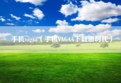 手机vagaa（手机VAGAA下载画时代）