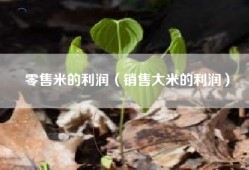 零售米的利润（销售大米的利润）