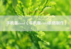 手机版excel（手机版excel表格制作）