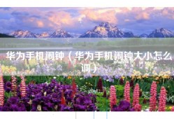 华为手机闹钟（华为手机闹钟大小怎么调）