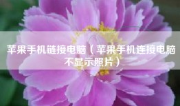 苹果手机链接电脑（苹果手机连接电脑不显示照片）