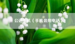 公话手机（手机公用电话）