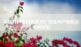 百度开户费用有多少？百度开户流程及费用详解