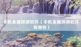 手机金属探测软件（手机金属探测软件有哪些）