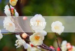 关于写作