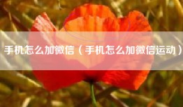 手机怎么加微信（手机怎么加微信运动）