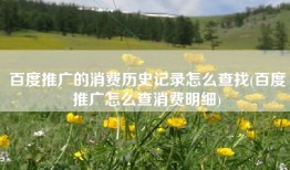 百度推广的消费历史记录怎么查找(百度推广怎么查消费明细)