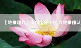 【地推项目】支付宝碰一碰 寻地推团队