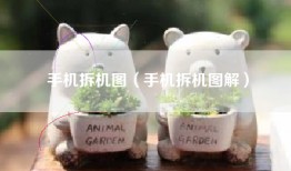 手机拆机图（手机拆机图解）