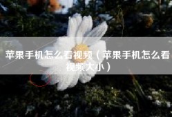 苹果手机怎么看视频（苹果手机怎么看视频大小）
