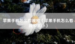 苹果手机怎么看视频（苹果手机怎么看视频大小）