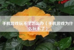 手机游戏玩不了怎么办（手机游戏为什么玩不了）