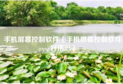 手机屏幕控制软件（手机屏幕控制软件好用吗）