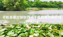 手机屏幕控制软件（手机屏幕控制软件好用吗）