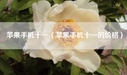 苹果手机十一（苹果手机十一的价格）