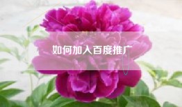 如何加入百度推广