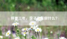 停更三年，李子柒在做什么？