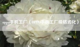 oppo手机工厂（OPPO手机工厂级格式化）