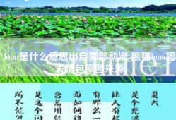 bum是什么意思出自哪部动漫 熊猫bum图表情包原图来源