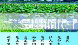 bum是什么意思出自哪部动漫 熊猫bum图表情包原图来源