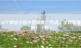 20个微信小程序营销推广方法，学到就赚到！（完）