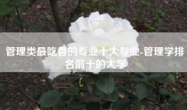 管理类最吃香的专业十大专业-管理学排名前十的大学