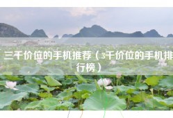 三千价位的手机推荐（3千价位的手机排行榜）