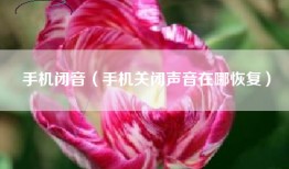 手机闭音（手机关闭声音在哪恢复）