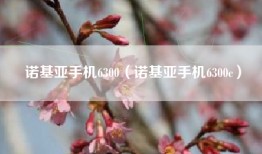 诺基亚手机6300（诺基亚手机6300c）