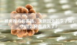 被央视点名表扬、火到国外的李子柒，为什么突然消失了？