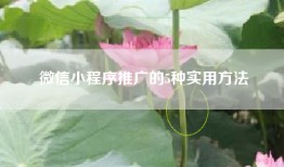 微信小程序推广的5种实用方法