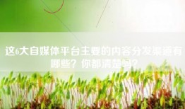 这6大自媒体平台主要的内容分发渠道有哪些？你都清楚吗？