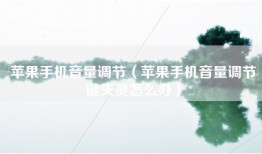苹果手机音量调节（苹果手机音量调节键失灵怎么办）