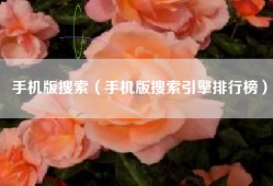 手机版搜索（手机版搜索引擎排行榜）