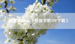 百度手机app（百度手机APP下载）