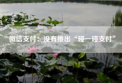 微信支付：没有推出“碰一碰支付”